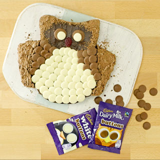 Cadbury Buttons Owl Cake Recipe | MummyPages.ie