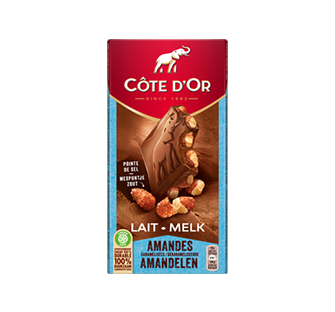 BLOC Lait Amandes Caramélisées image