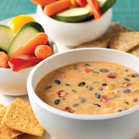 Spicy Mexican Cheese and Bean Dip