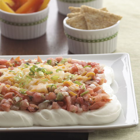 TRISCUIT Creamy Cheesy Salsa Dip