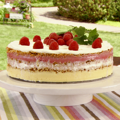 HONEY MAID Frozen Layered Sorbet Torte