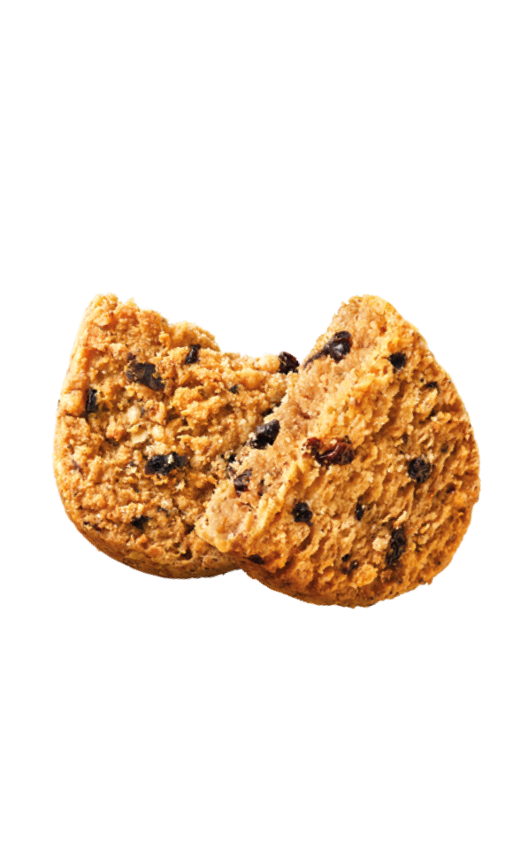 Blueberry biscuit
