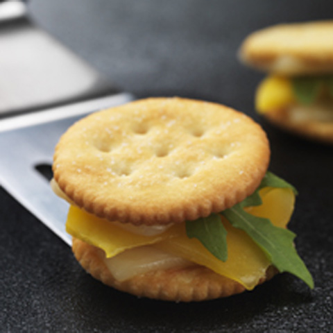Gourmet Grilled Cheese Cracker-Wiches