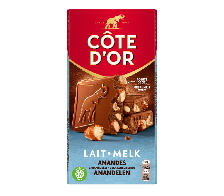 BLOC Lait Amandes Caramélisées