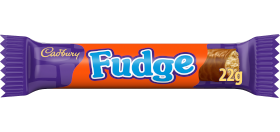 Cadbury Fudge Chocolate Bar 22g