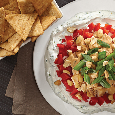 TRISCUIT Teriyaki Chop Dip