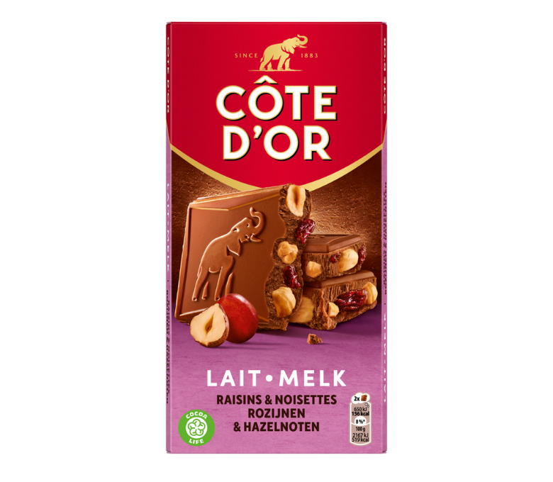 BLOC Lait Raisins Noisettes