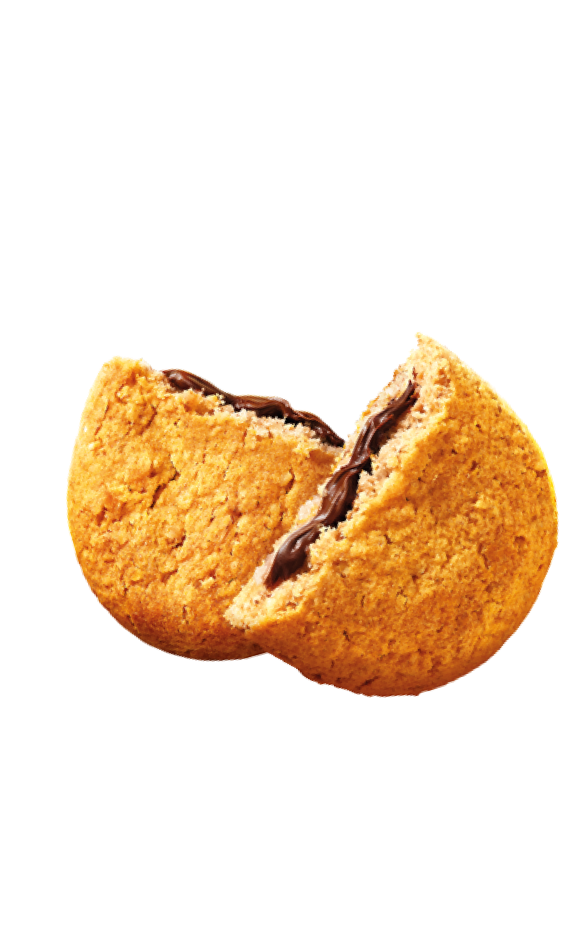 Choco hazelnut flavour biscuit