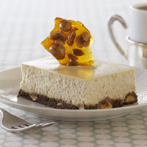 Coffee and Hazelnut Brittle Cheesecake